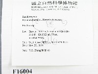 木層孔菌屬藏品圖，第2張
