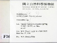 假芝屬藏品圖，第2張