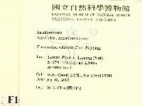 登錄號:F0016009藏品圖，第2張