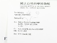 登錄號:F0016010藏品圖，第2張