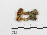 登錄號:F0016010藏品圖，第3張