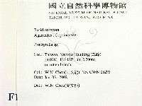 登錄號:F0016011藏品圖，第2張