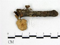 登錄號:F0016011藏品圖，第1張