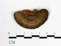 登錄號:F0016012藏品圖，第3張