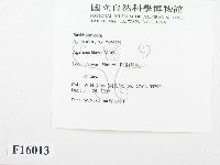登錄號:F0016013藏品圖，第2張