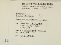 登錄號:F0016015藏品圖，第2張