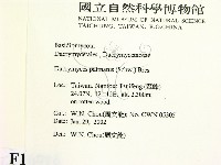 登錄號:F0016016藏品圖，第2張