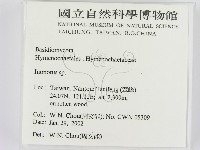 纖孔菌屬藏品圖，第2張