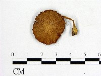 登錄號:F0016018藏品圖，第1張