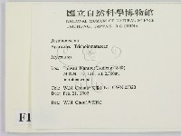 小菇屬藏品圖，第2張