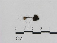 登錄號:F0016022藏品圖，第1張