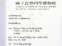 登錄號:F0016023藏品圖，第2張