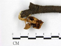 登錄號:F0016023藏品圖，第3張