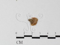 登錄號:F0016027藏品圖，第1張