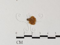 登錄號:F0016027藏品圖，第3張