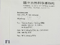 小菇屬藏品圖，第2張