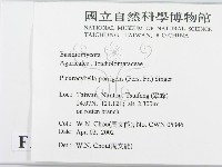 登錄號:F0016031藏品圖，第2張