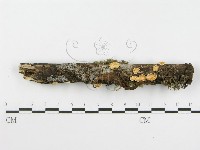 登錄號:F0016031藏品圖，第1張