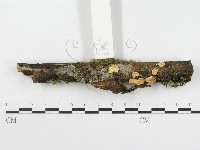 登錄號:F0016031藏品圖，第3張