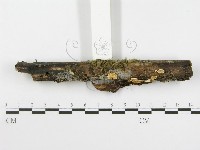 登錄號:F0016031藏品圖，第4張