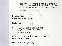登錄號:F0016032藏品圖，第2張