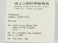 登錄號:F0016033藏品圖，第2張