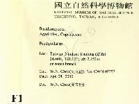 登錄號:F0016034藏品圖，第2張