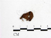 登錄號:F0016035藏品圖，第1張