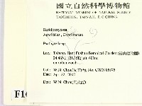 登錄號:F0016039藏品圖，第2張