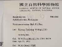 登錄號:F0016040藏品圖，第2張