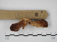 登錄號:F0016040藏品圖，第4張