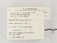 登錄號:F0016042藏品圖，第2張