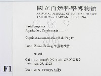 登錄號:F0016043藏品圖，第2張