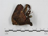 登錄號:F0016043藏品圖，第3張