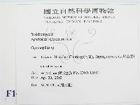 登錄號:F0016045藏品圖，第2張