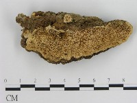 登錄號:F0016047藏品圖，第1張