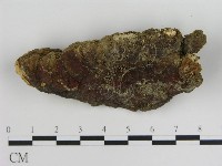 登錄號:F0016047藏品圖，第3張