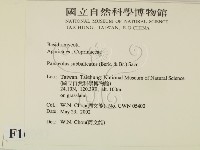 登錄號:F0016051藏品圖，第2張