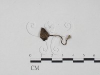 登錄號:F0016051藏品圖，第1張