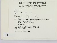 小菇屬藏品圖，第2張