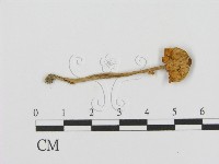 登錄號:F0016054藏品圖，第1張