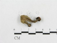 登錄號:F0016054藏品圖，第3張