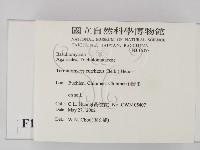 登錄號:F0016055藏品圖，第2張