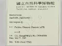 登錄號:F0016056藏品圖，第2張