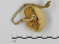 登錄號:F0016056藏品圖，第3張