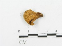 登錄號:F0016057藏品圖，第3張