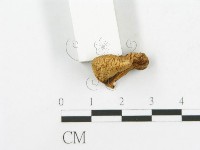 登錄號:F0016057藏品圖，第4張