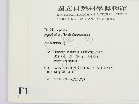 小皮傘屬藏品圖，第2張