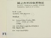小菇屬藏品圖，第2張