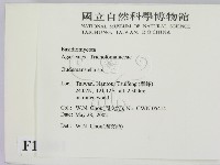 登錄號:F0016061藏品圖，第2張